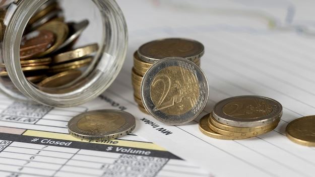Maximizing Income and Stability with NN10 Monthly High Dividend Paying ETFs: Strategies for U.S. Investors
