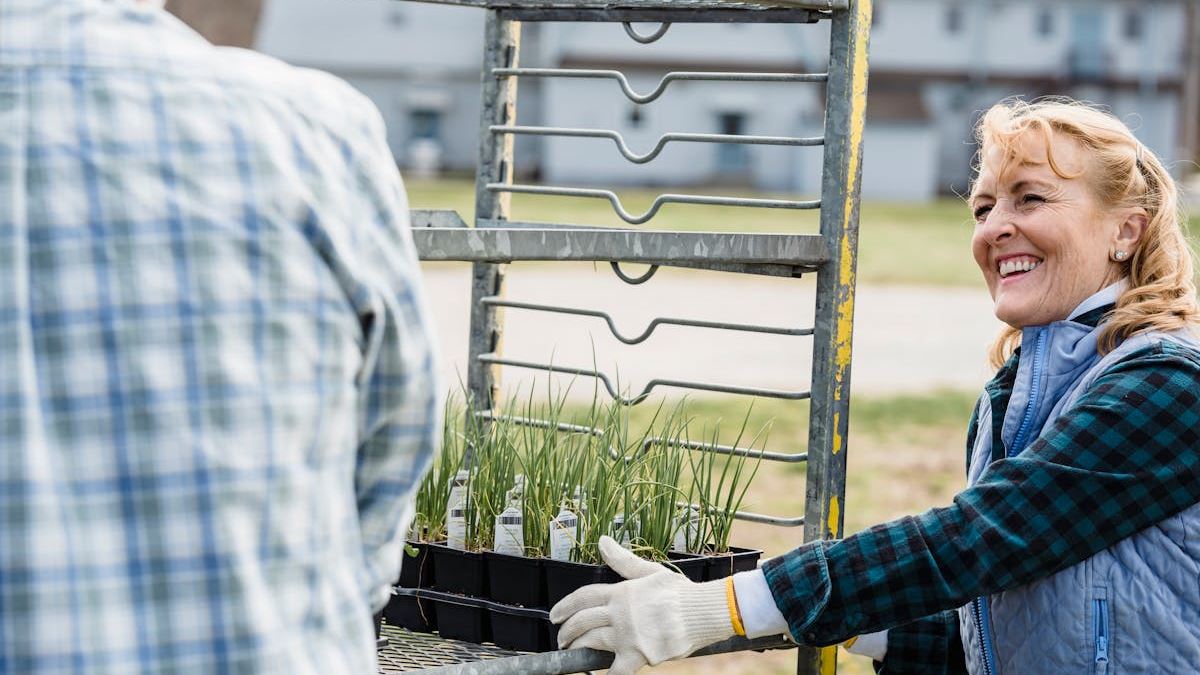 Maximizing Your Small Business Potential with SBA Loan Lendio: A Strategic Approach