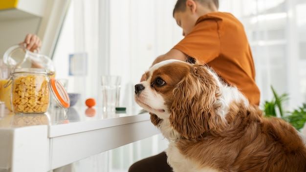 Must-Know Pet Care Tips for Every Pet Owner