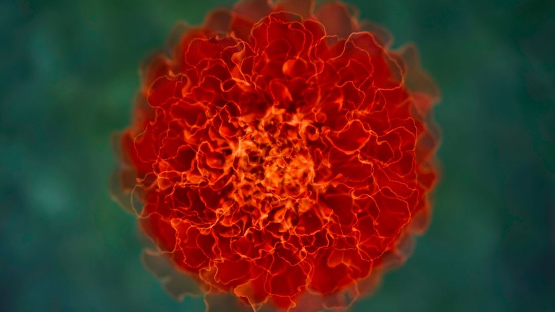 Personalized Treatment Strategies for Non-Small Cell Lung Cancer: A Patient-Centered Approach