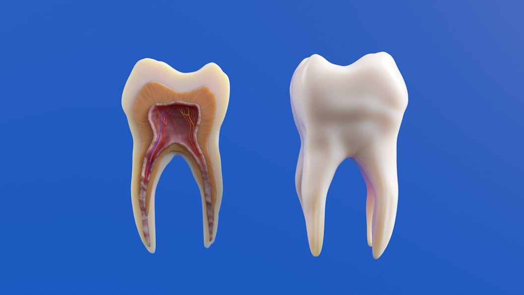 Breaking Barriers: How to Access Affordable Dental Implant Dentistry in the United States Today