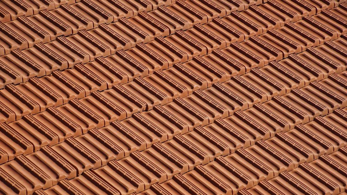 Top Strategies for Maintaining Your Roof Affordably Across the U.S.