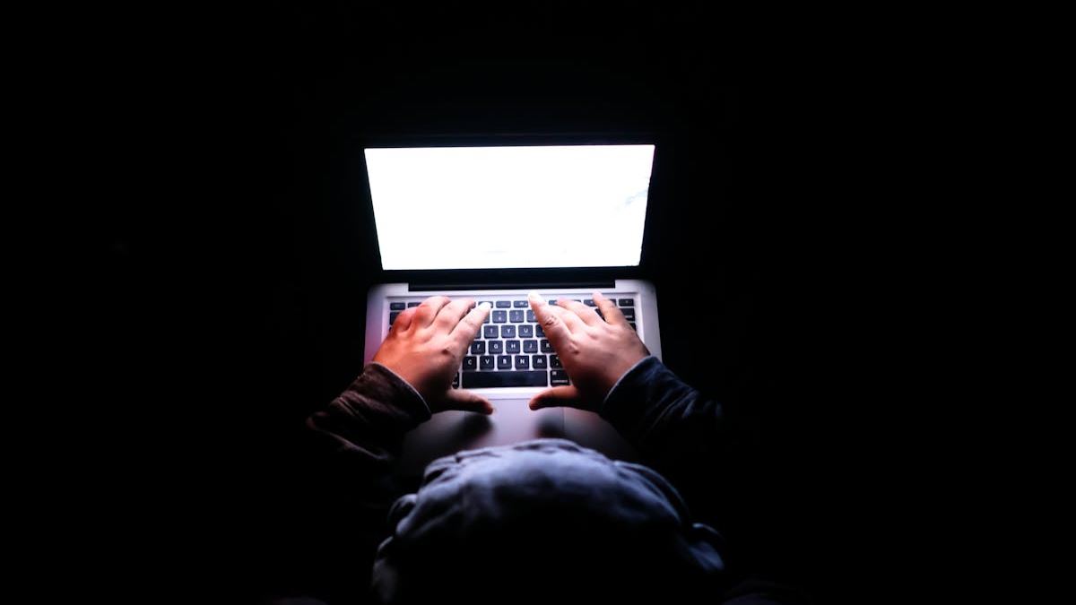 Top Network Security Providers Small Business in the United States: A Complete Guide