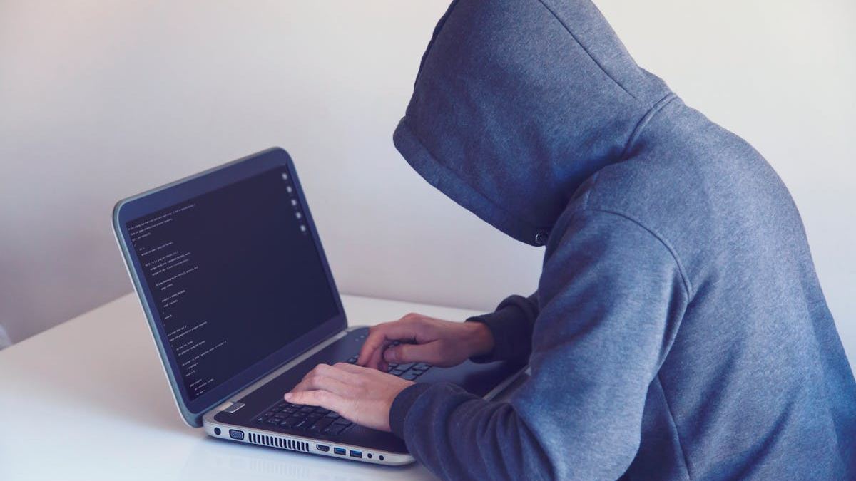 Navigating the Future: How an Online Cyber Security Degree Transforms Careers in the United States