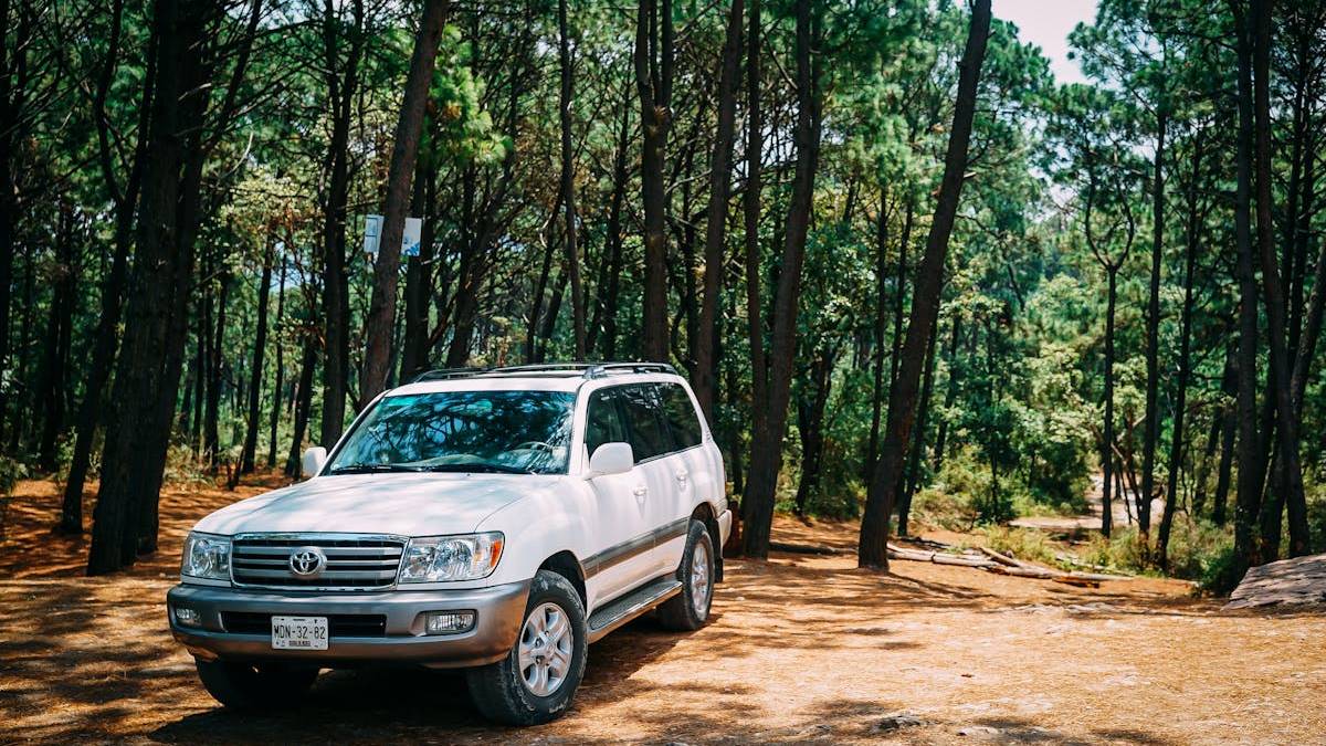 Why the Pre Owned Toyota RAV4 Continues to Lead the Used SUV Market in the United States