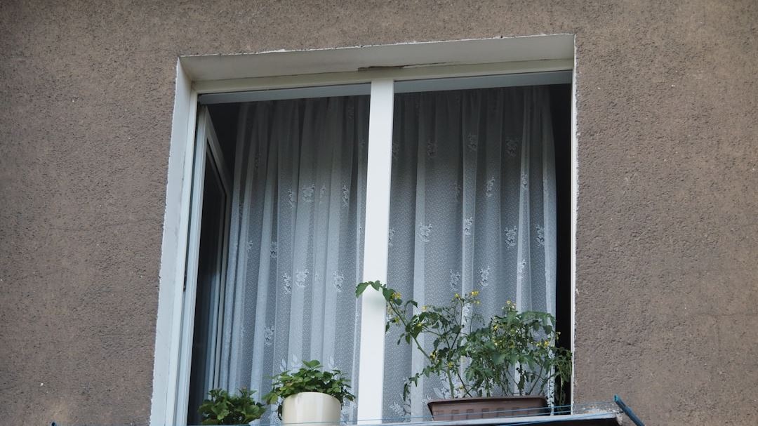 Discover Energy Efficient Window Upgrades That Save Money