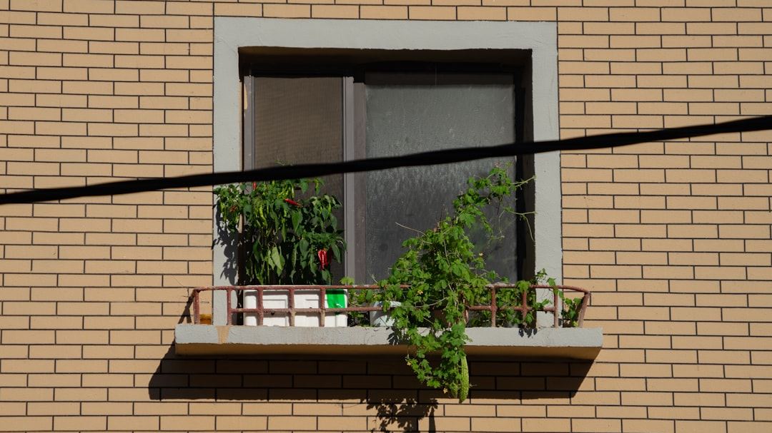 Breaking Down the True Cost of Window Replacement in the U.S.: A Deep Dive for Homeowners