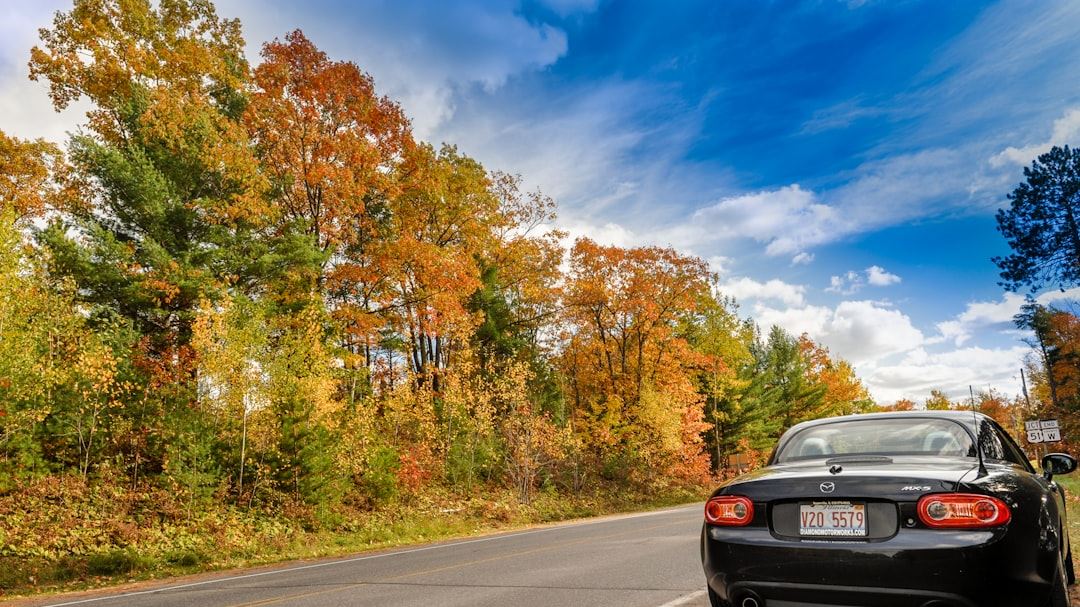 Maximizing Savings with Affordable Auto Insurance: Tips and Tools for American Drivers