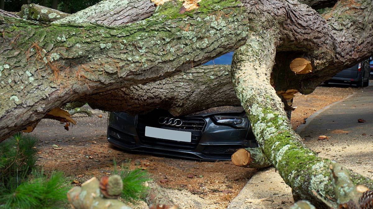 Navigating the Landscape of Car Insurance Quotes in Massachusetts: Tips for Drivers and New Residents