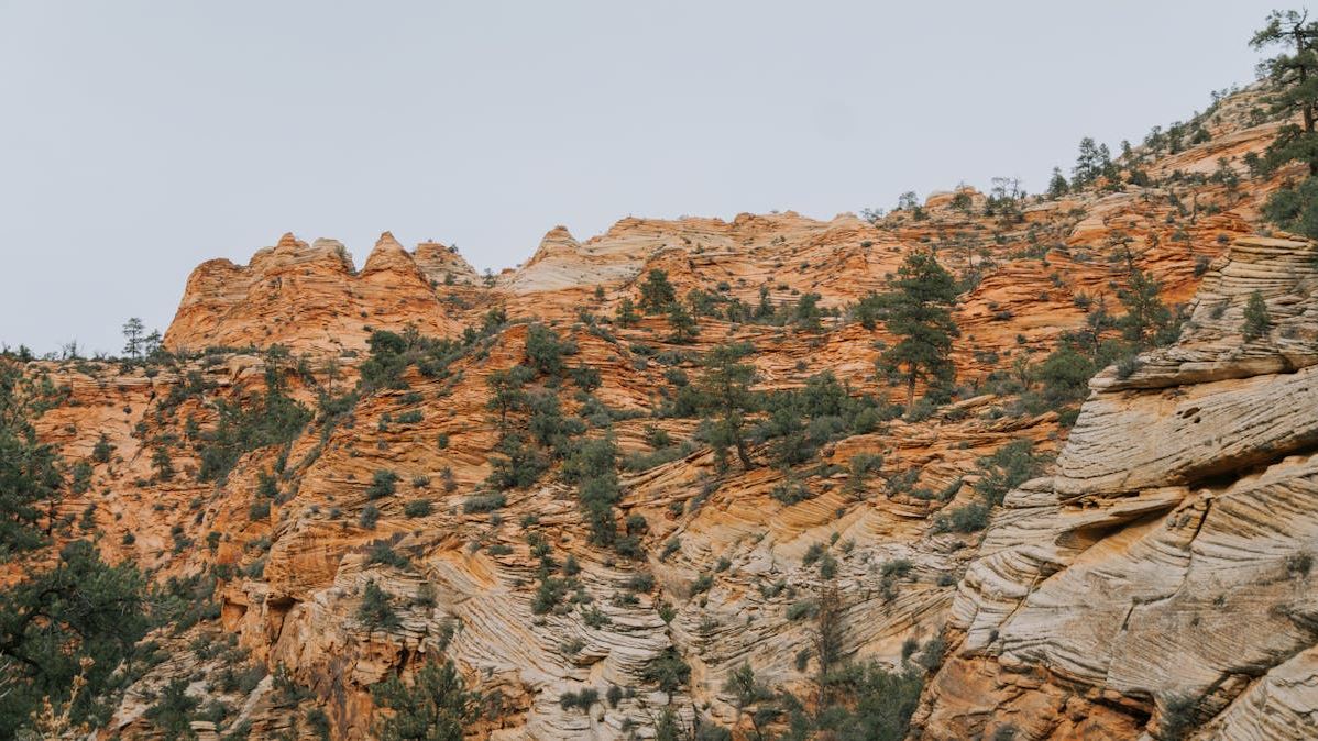 Mastering Adventure Travel Booking: Strategies for Seamless and Safe Journeys Across the United States