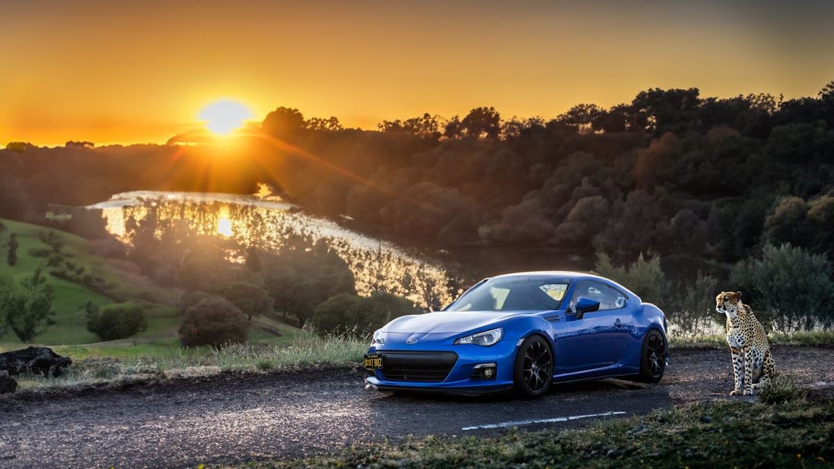 Why Greenwich Westport Stands Out as the Ultimate Luxury Dealership Destination