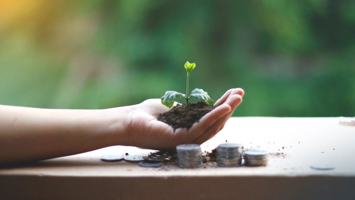 Sustainable Investment Options: Grow Your Wealth Responsibly