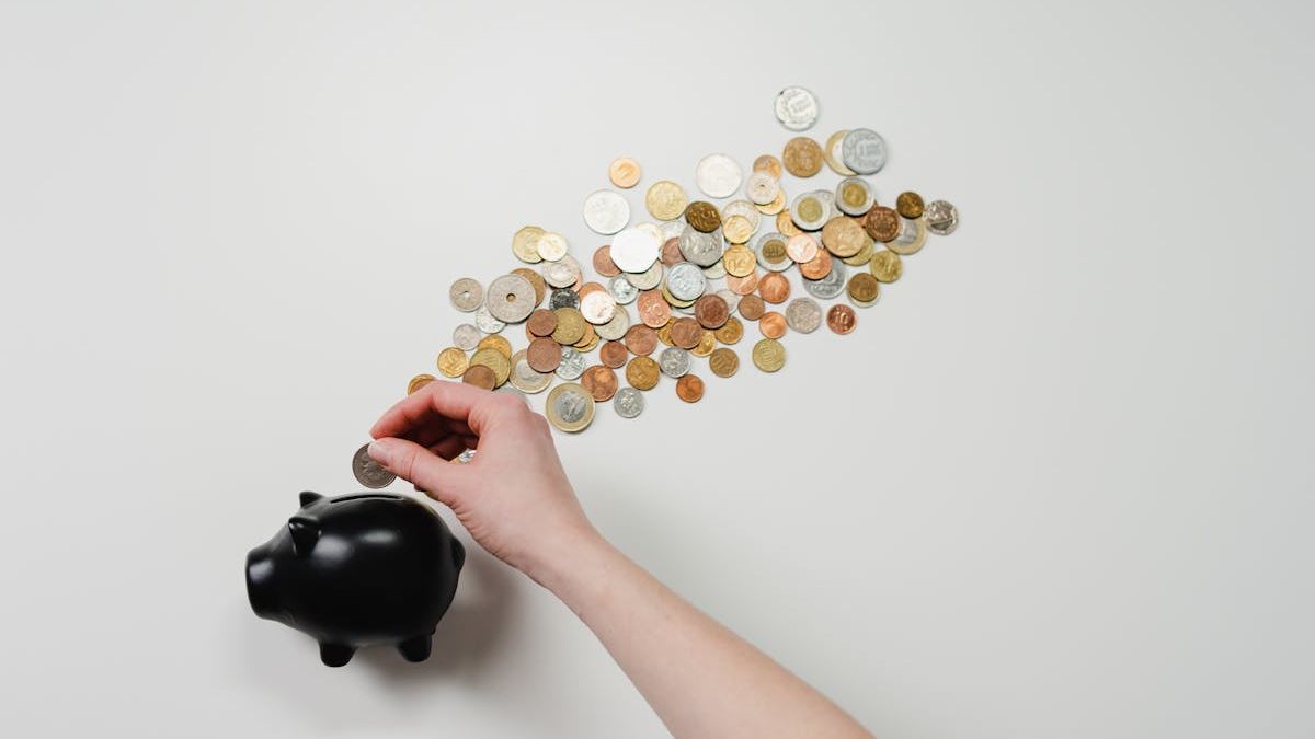 Smart Investment Strategies: Finding the nn10 Best Vanguard Funds for Seniors in the U.S.