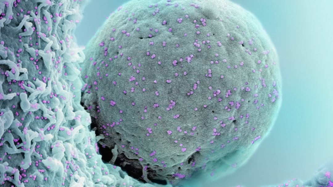Revolutionizing Care: The Role of New Multiple Myeloma Treatment in Shaping the Future of Oncology
