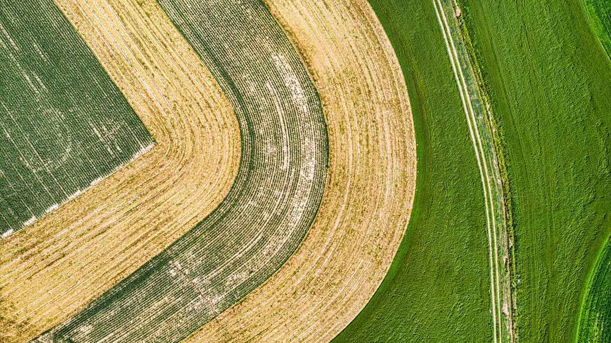 Mastering the Wheat Pennies Value Chart: A Strategic Approach to Building Your Collection and Maximizing Investment
