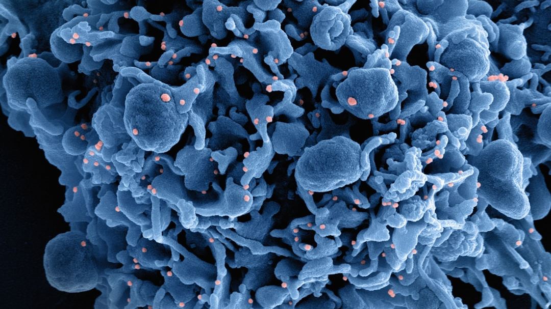 Innovative Approaches to Managing MHSPC: From Combination Therapies to Precision Oncology