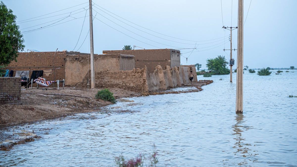 Expert Insights into Basement Water Damage Restoration: Strategies for a Dry and Safe Home