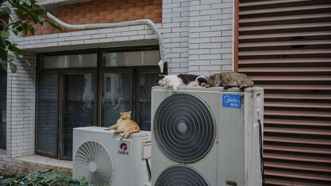 Choosing the Best Technicians Air Conditioning Heating Nearby: Expert Advice for U.S. Residents