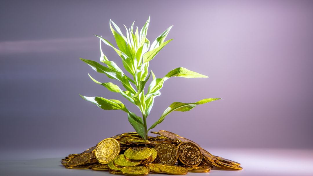 Advanced Techniques for Investment Return Optimization in Modern Portfolios
