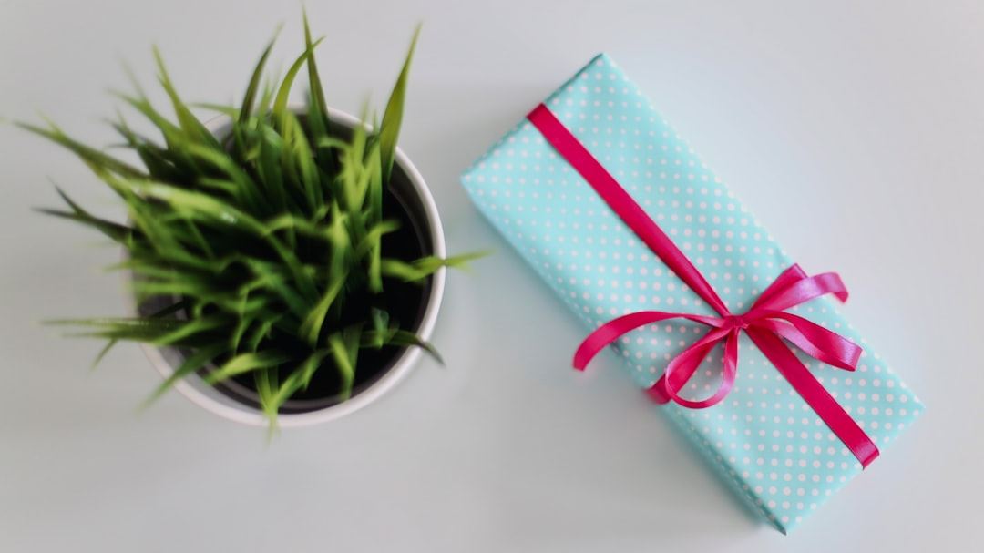 Sustainable and Eco-Friendly Corporate Gift Ideas to Elevate Your Brand and Support Green Initiatives