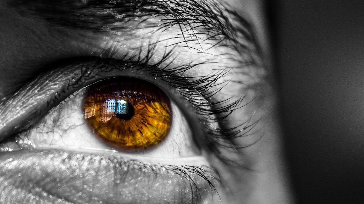 Does Skin Cancer Look Like? An In-Depth Analysis for Early Detection