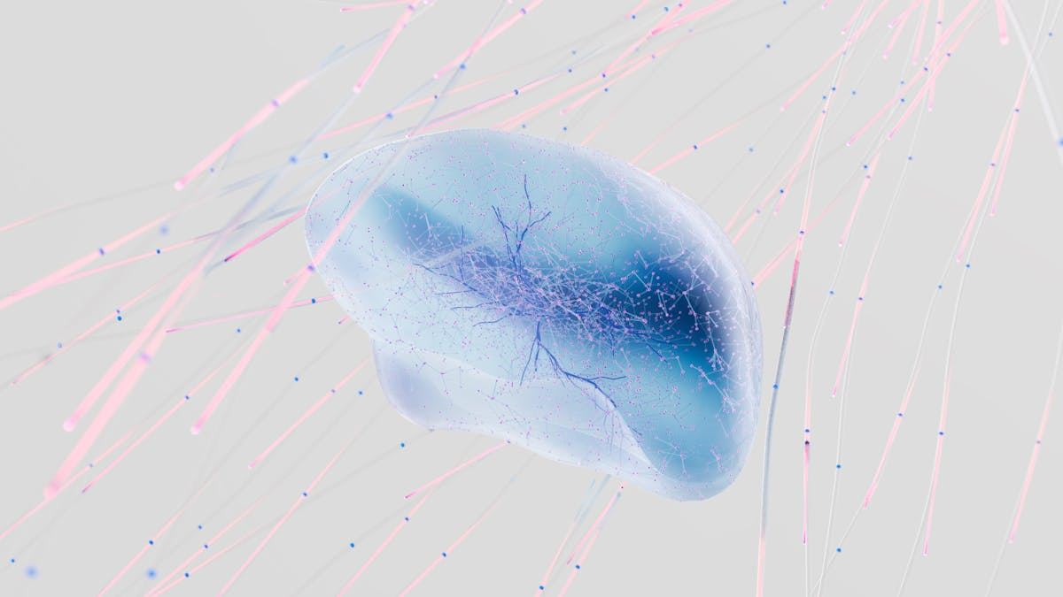 Why the UCLA Neuroscience Graduate Program Is a Cutting-Edge Choice for Future Researchers