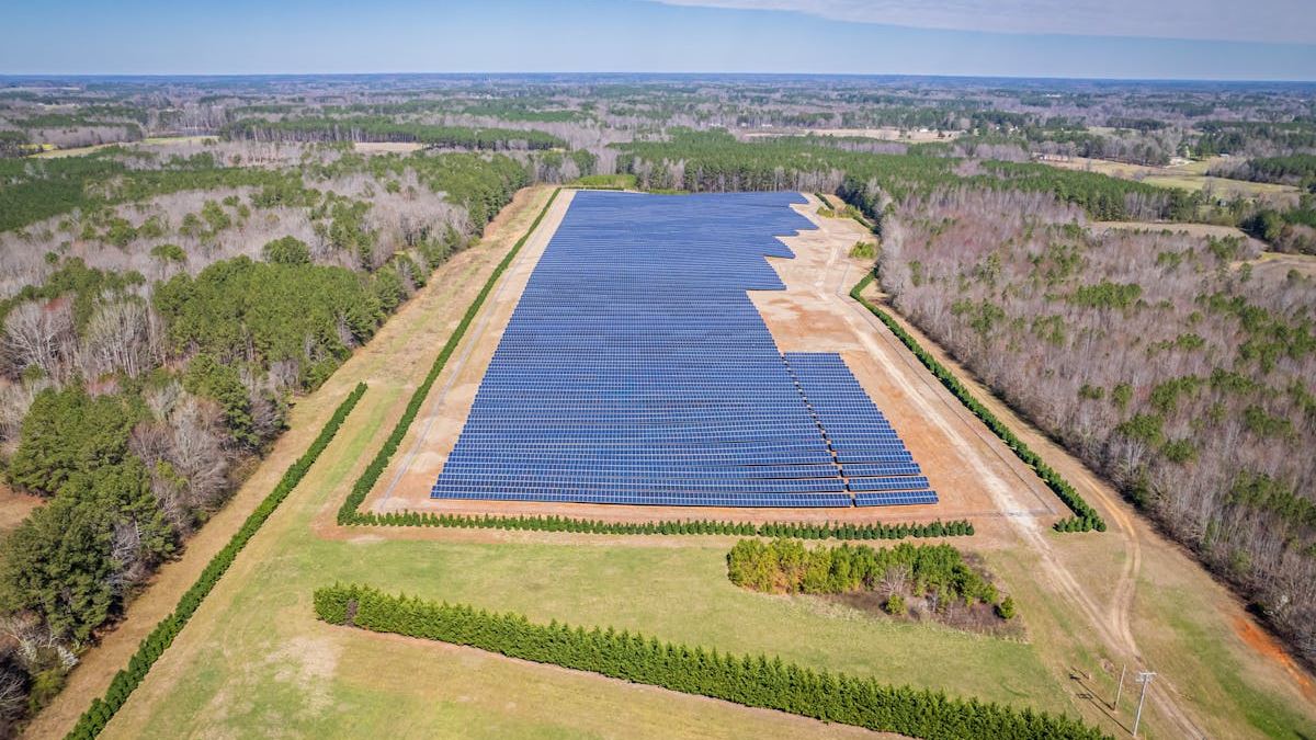 Maximizing Solar Investment: Strategies and Policy Insights for US Consumers and Businesses