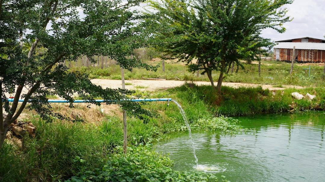 Finding Reliable Water Mitigation Near Me: A Complete Guide to Protect Your Home and Family