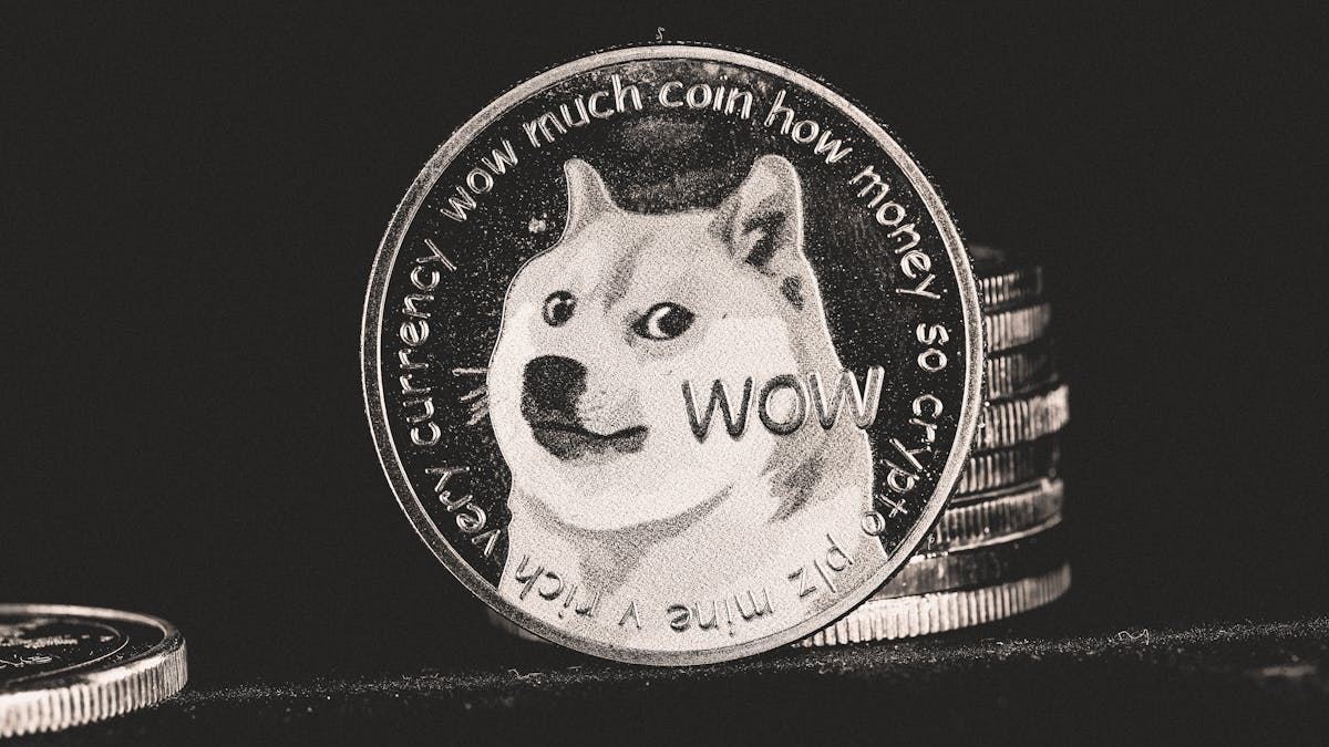 Understanding the Doge Stimulus Check Update: Implications for Digital Currency Enthusiasts and the General Public