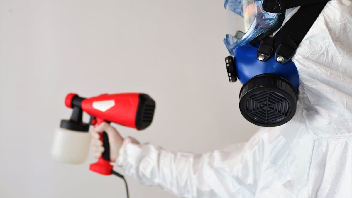 The Ultimate Expert Guide to Mold Removal: Protecting Your Home and Health in the United States