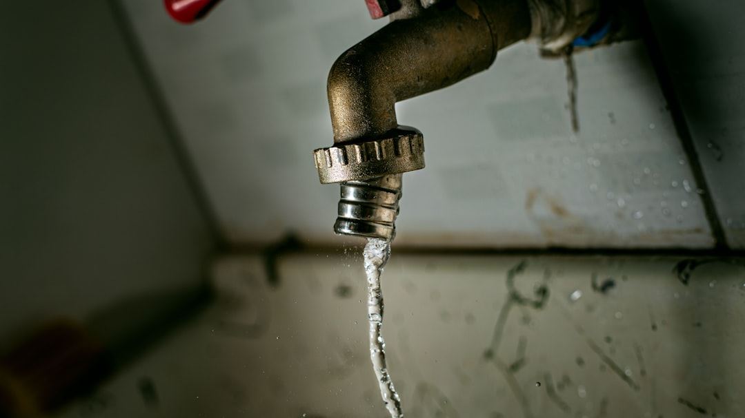 Affordable Plumbing Services: How to Save Money and Get Quality Repairs in the United States