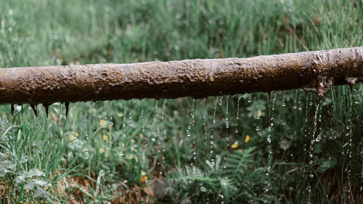 Expert Strategies for Water Leak Repair: Protect Your Home from Hidden Threats