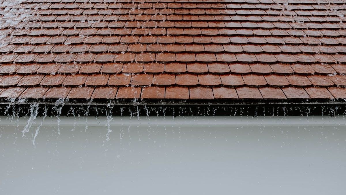 Essential Tips for Finding Reliable Guttering Companies Near Me in the United States: A Homeowner’s Expert Guide