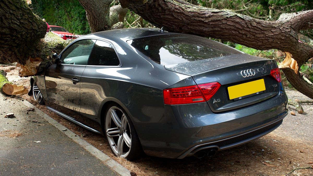 Exploring the Top Auto Insurance Providers in the United States: A Trusted Guide for Drivers