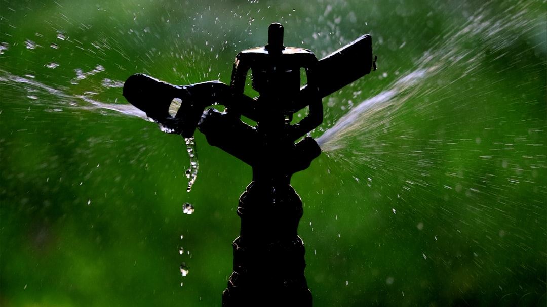 Expert Strategies for Water Leak Repair: From Diagnosis to Long-term Prevention