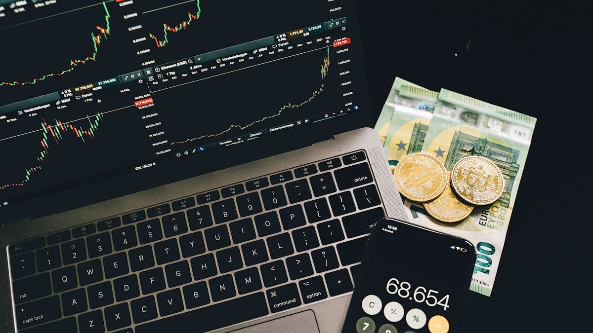 Unveiling the Best Top Dividend Stocks for Steady Income in the United States