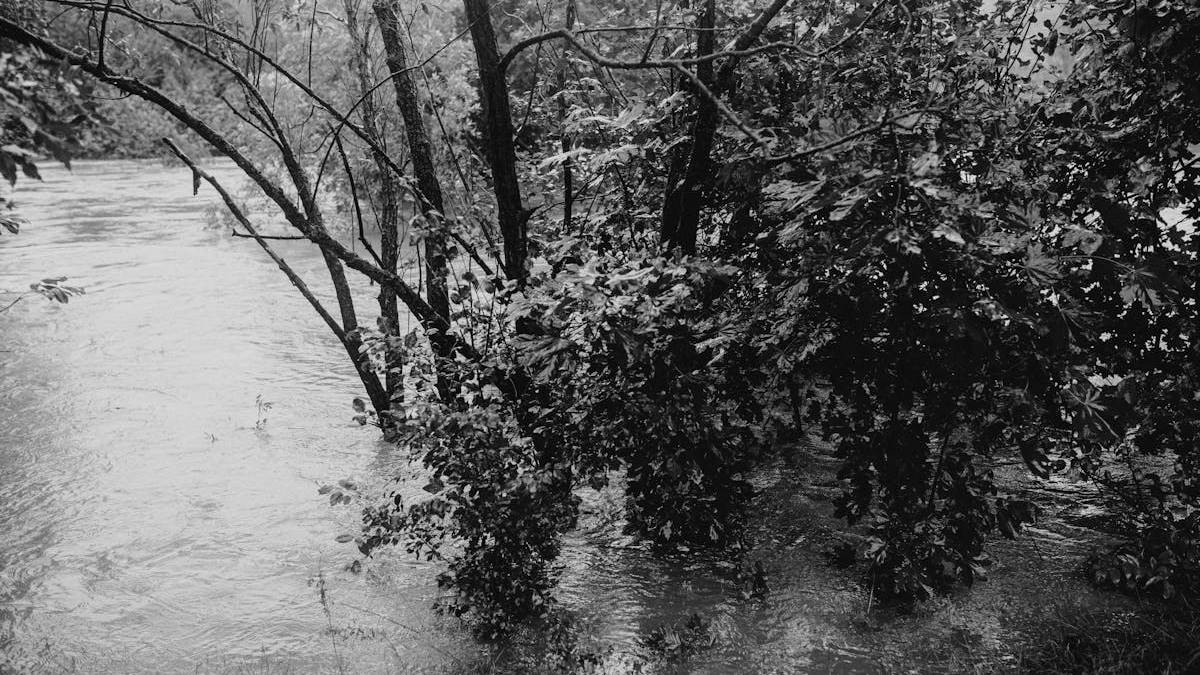 Expert Insights on Flooded Basement Water Removal: Safeguarding Your Property and Well-Being