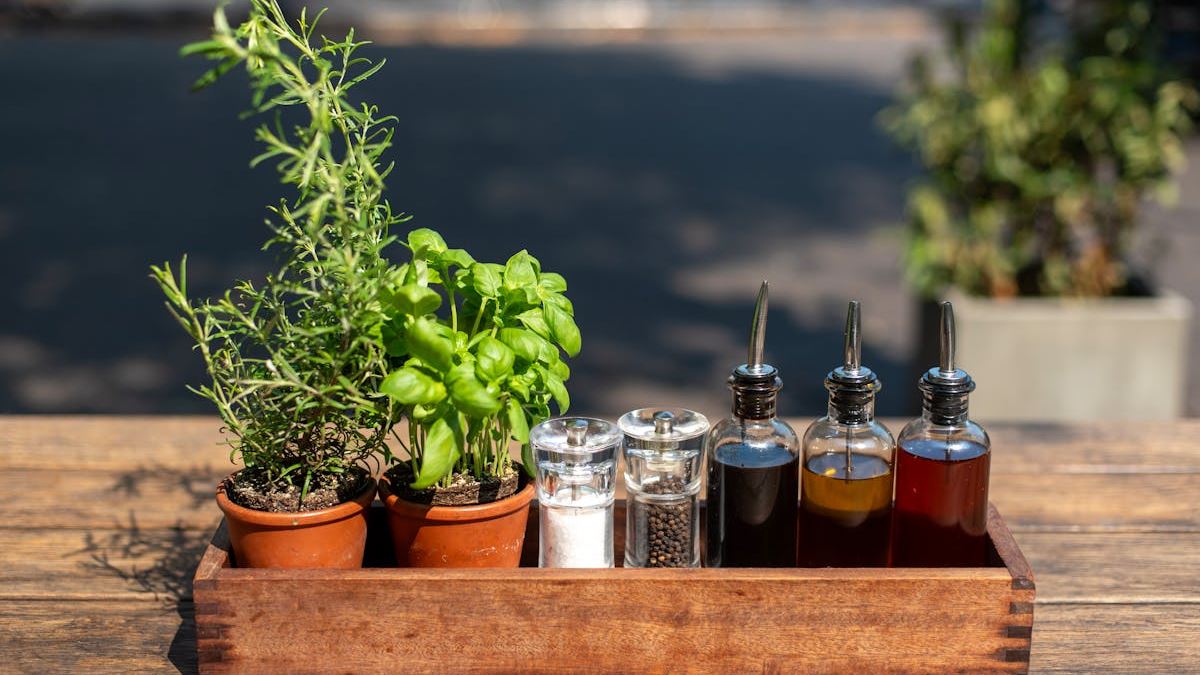 Unlock the Benefits of Epsom Salt Fertilizer Recipe: A Sustainable Solution for Thriving Gardens