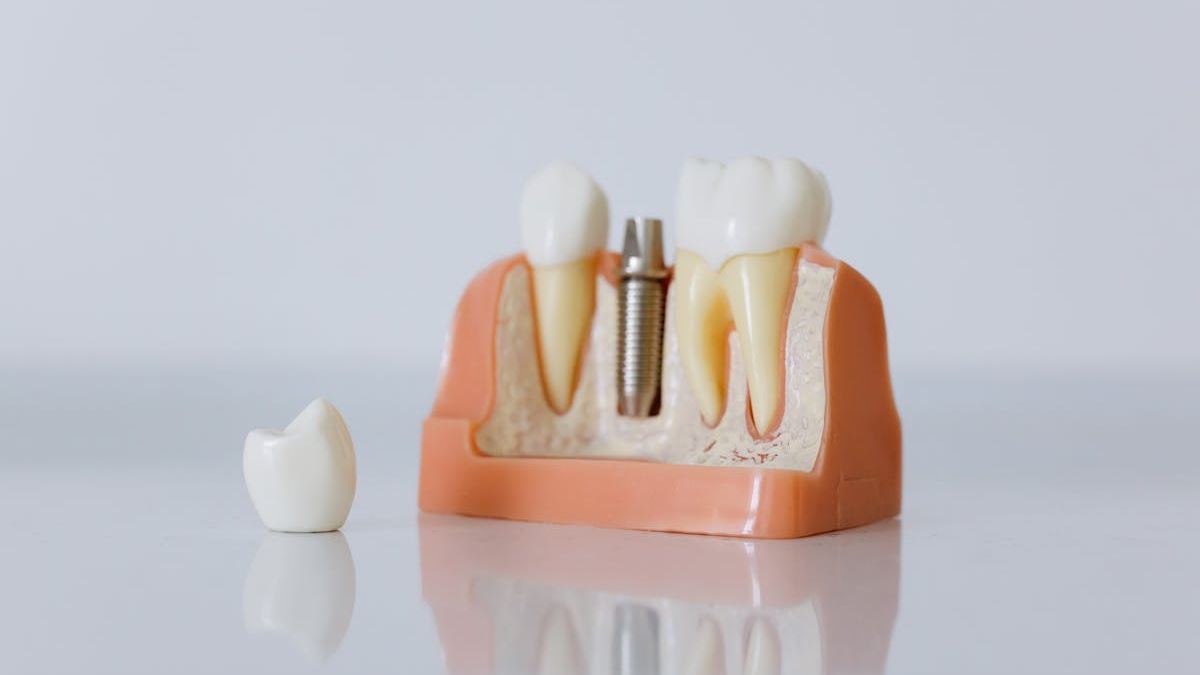Top-Rated Dental Surgeons in the United States: Your Comprehensive Search Guide