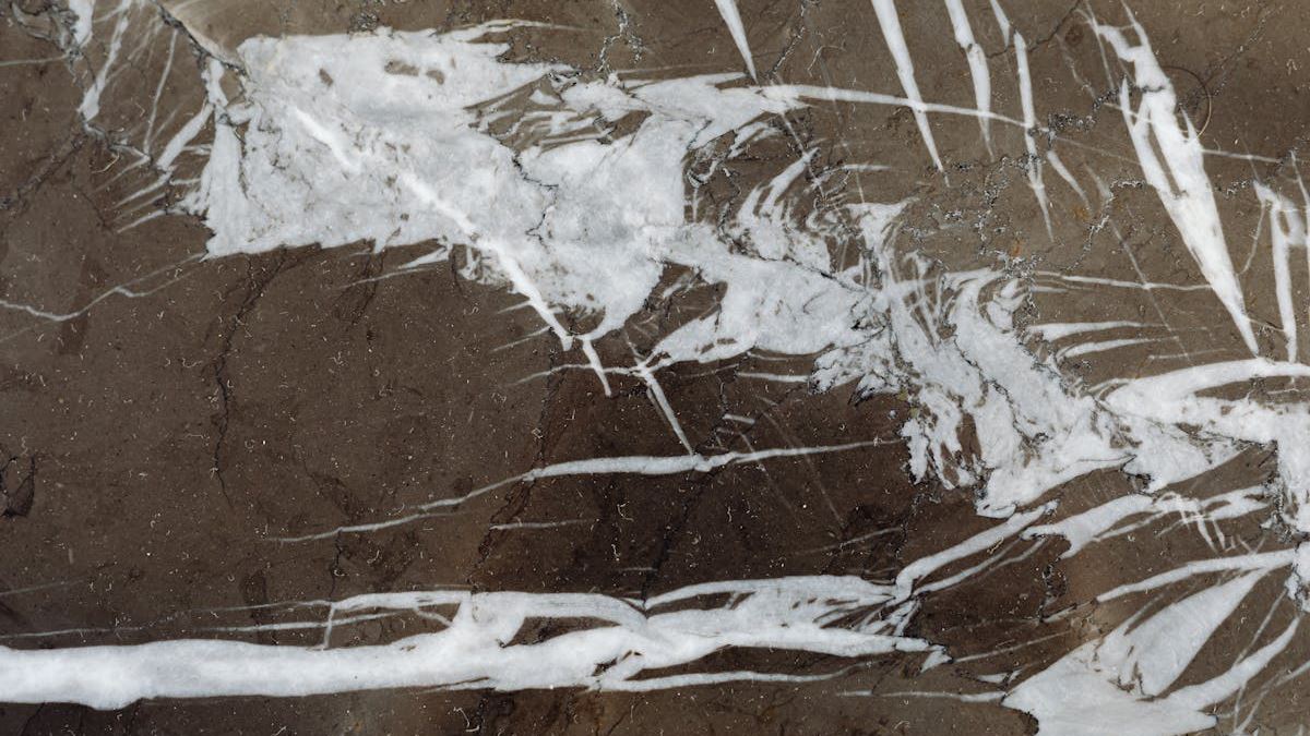 Why Immediate Action Matters: The Impact of Choosing the Best Slab Leak Repair Services Near You
