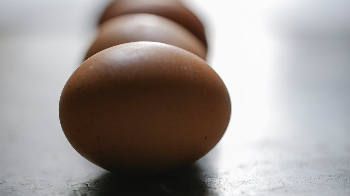 How to Find the Best Egg Business Loan: Essential Strategies for US Poultry Entrepreneurs
