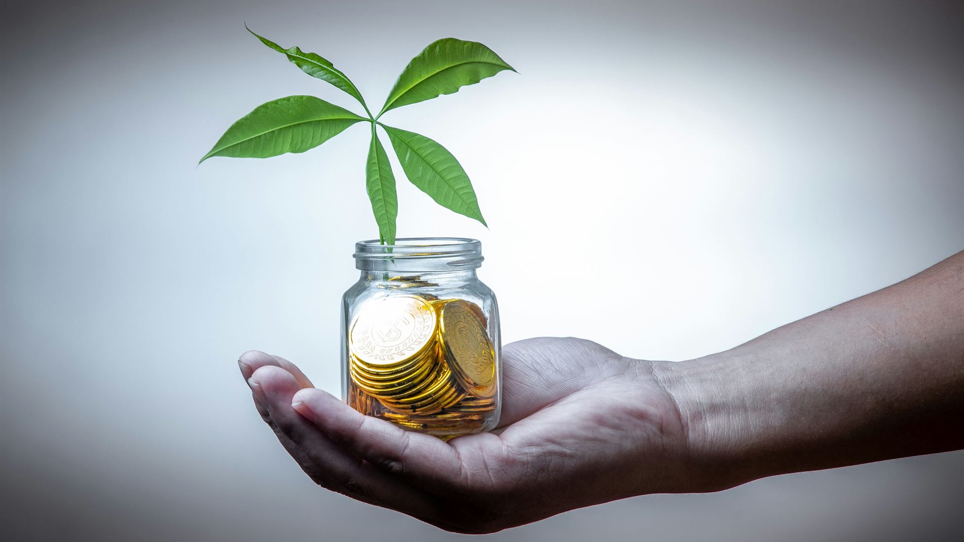 Personal Investment Advice for Beginners: Your Path to Financial Independence