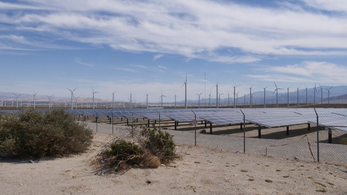 Maximizing Value with Affordable Solar Panels: Strategies for U.S. Homeowners