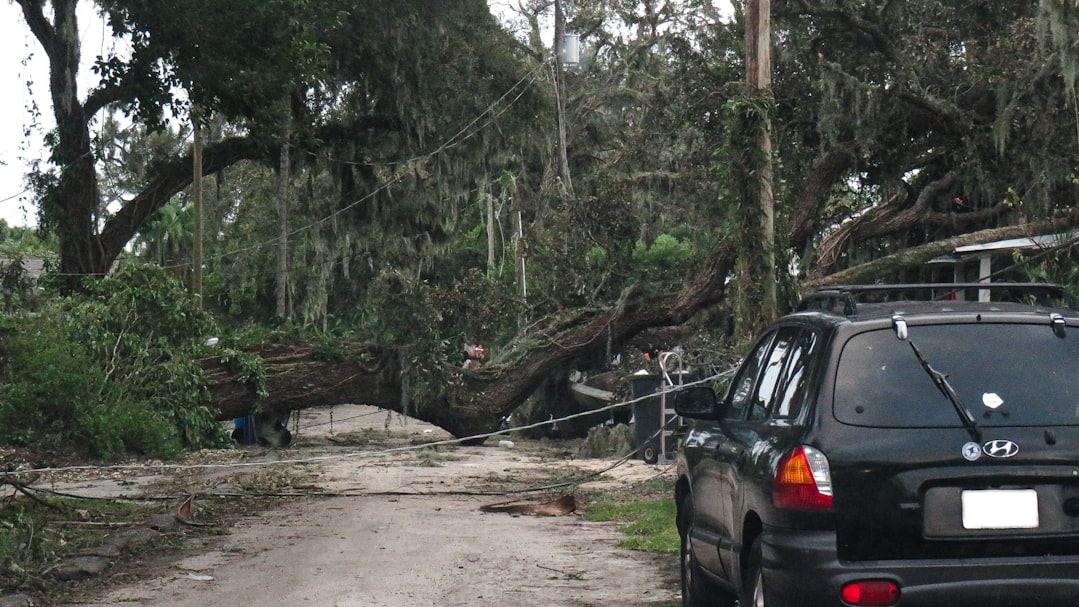 Maximizing Value: How to Get the Best Florida Car Insurance Quote for Your Unique Needs