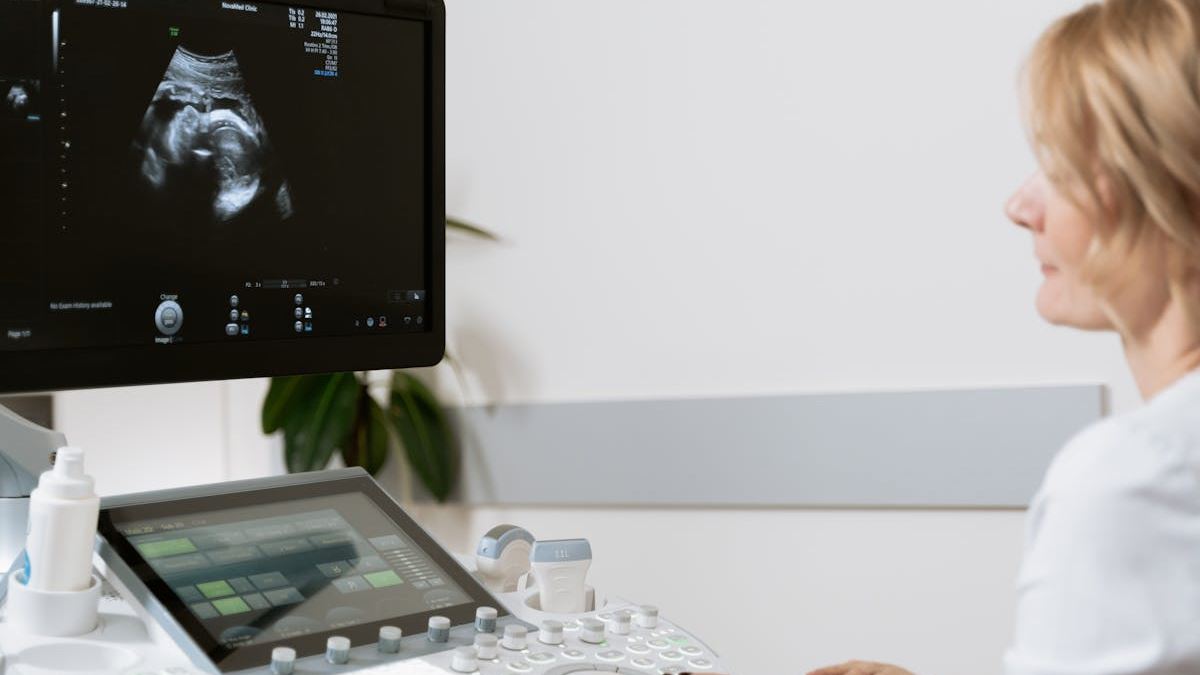 Decoding the Echocardiogram: How Heart Imaging Enhances Modern Cardiology