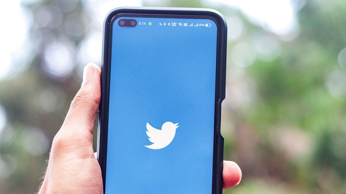 The Career Path of a Social Media Marketing Specialist: From Novice to Industry Expert
