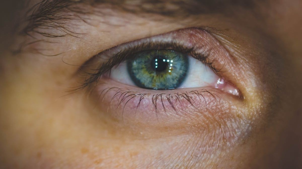 Does Dermatitis Look Like? Identifying Skin Inflammation with Confidence