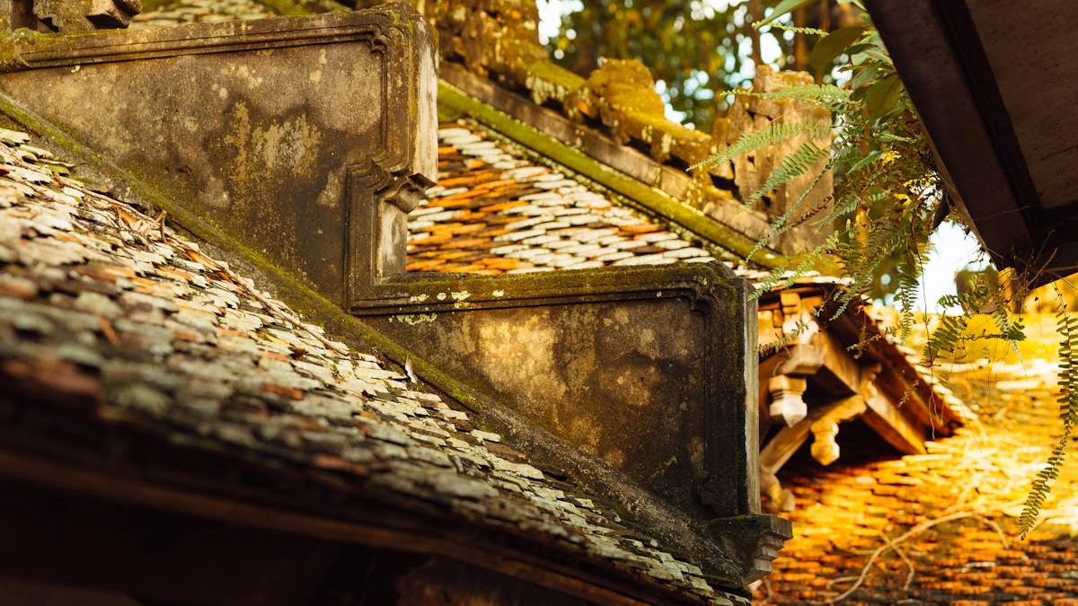 Managing Shingles Pain: Treatment Options and Lifestyle Tips