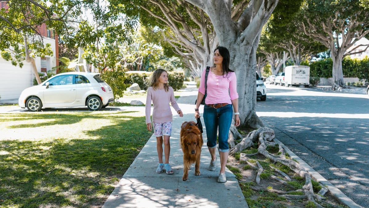 Expert Insights on Choosing the Best Home Car Insurance in the United States