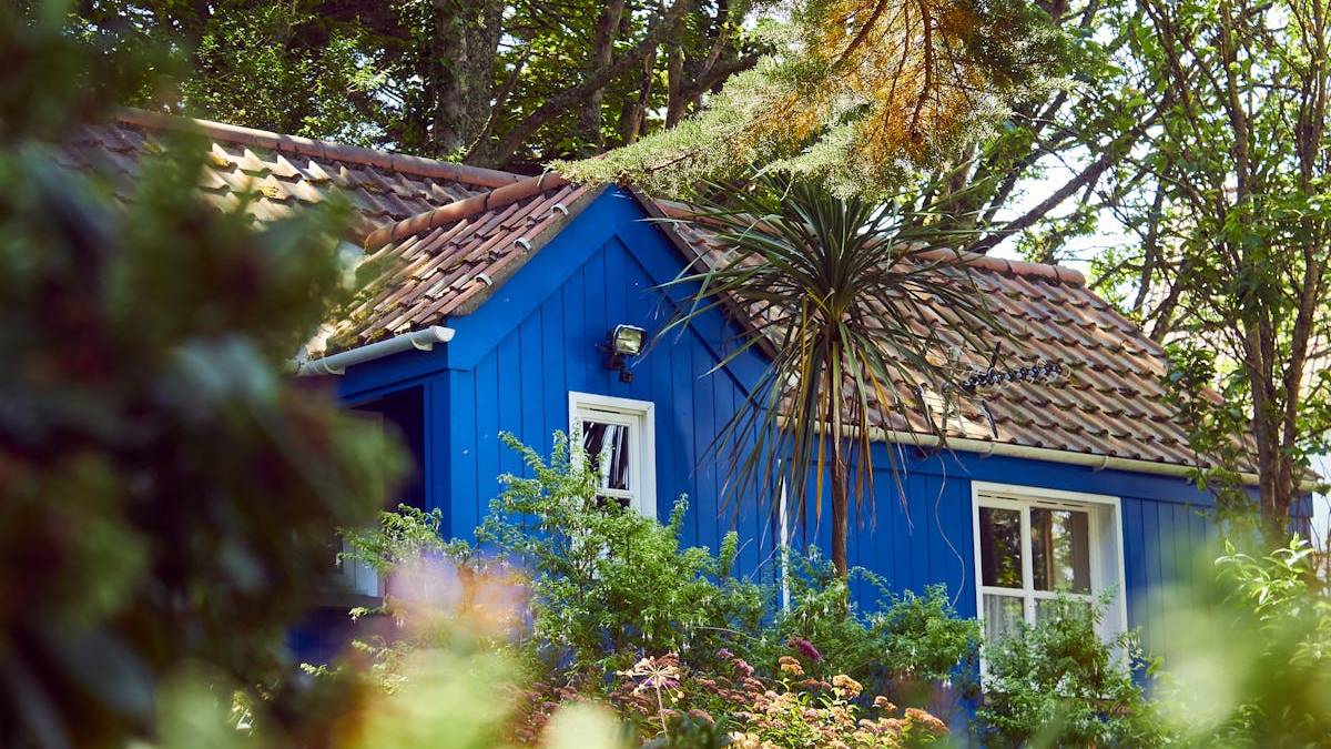 Sustainable House Renovation: Eco-Friendly Strategies for Modern Home Transformation